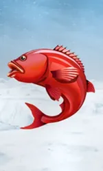 Ice Fishing